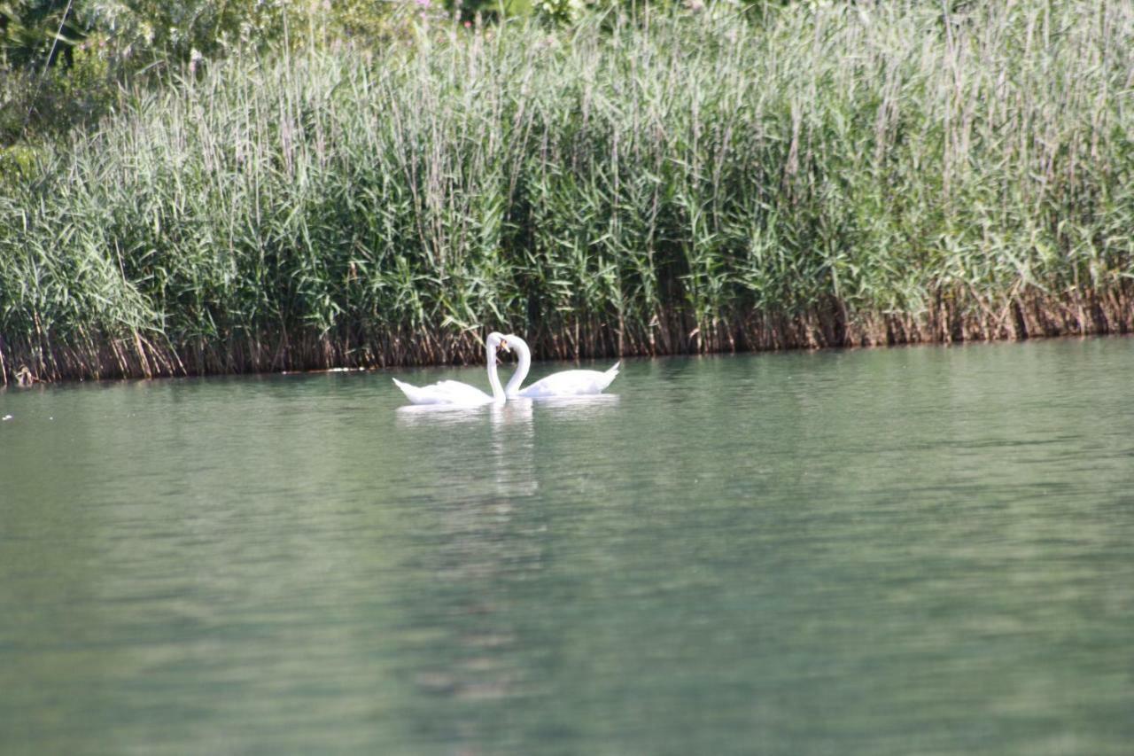 Villa Anna Sorico Εξωτερικό φωτογραφία